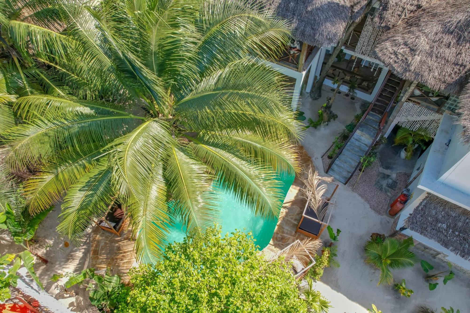 Ocean Boho House Bed & Breakfast Jambiani  Luaran gambar